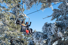 20240111-MHW-Snowy-Trees-couple-web